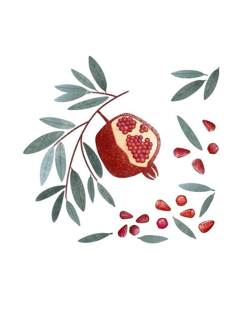 果実イラスト